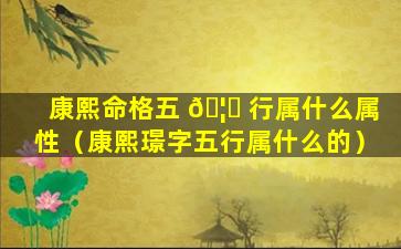 康熙命格五 🦟 行属什么属性（康熙璟字五行属什么的）